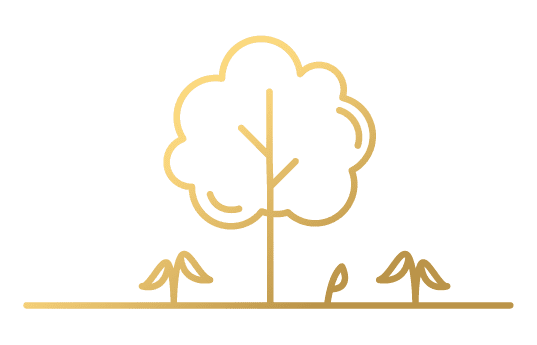 Prime Asset_Website Guide-14